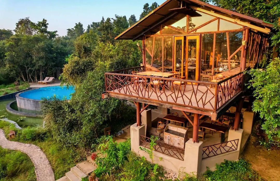 Kanha Jungle Camp-1