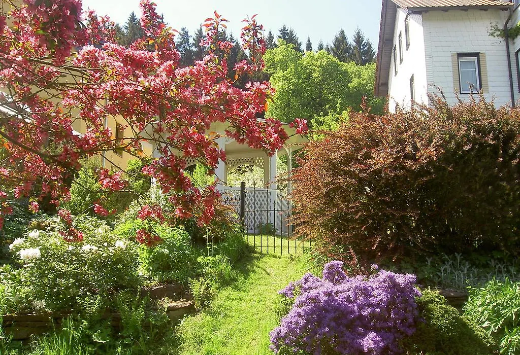 Pension Waldesblick-1