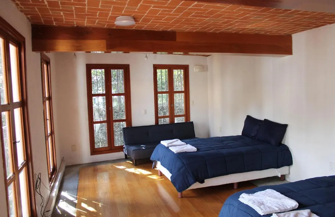 Casa Frida Coyoacan-1