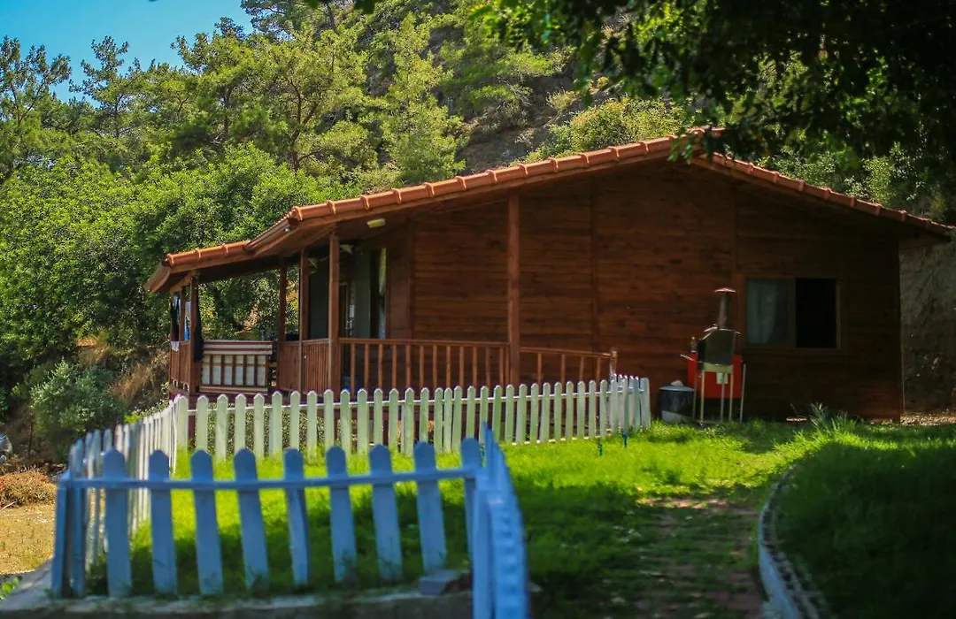 Villa Zeytin-1