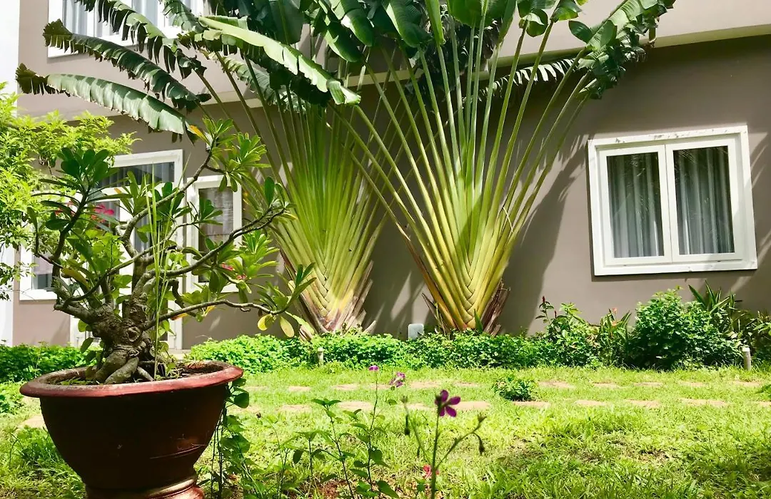 Oceanward Hotel & Resort-1