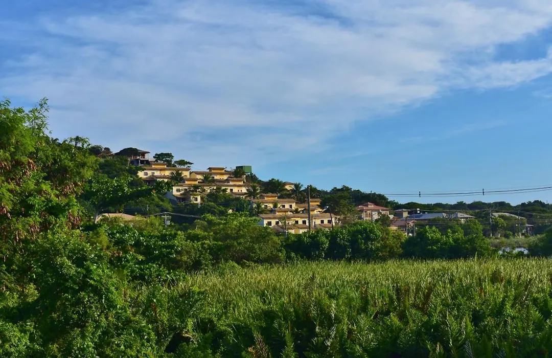Hibiscus Center-1