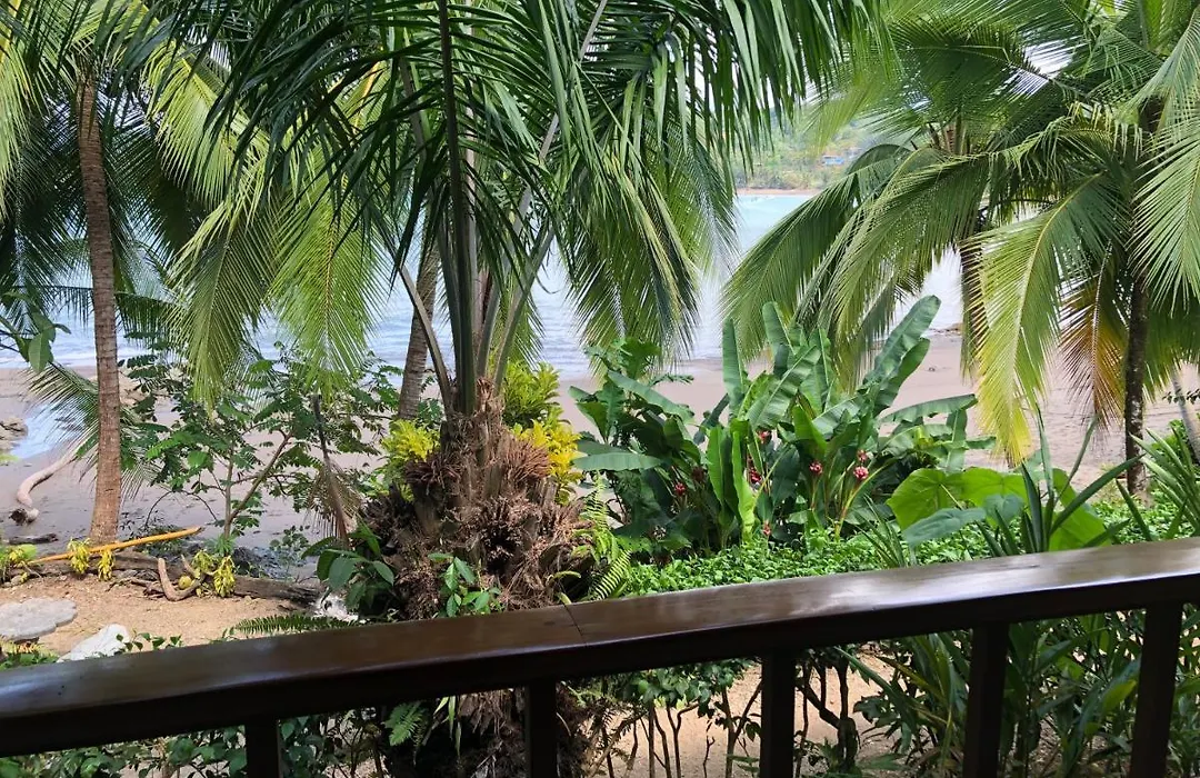 Hotel Jinetes De Osa-1