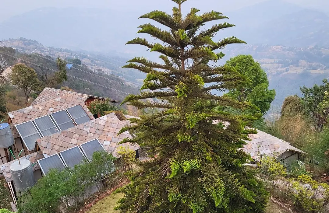 Naldum Village Resort By The Edge Nagarkot-1