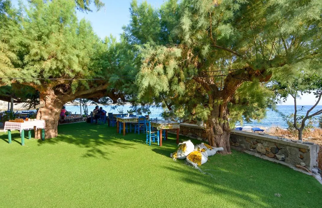 Taverna Akrogiali-1