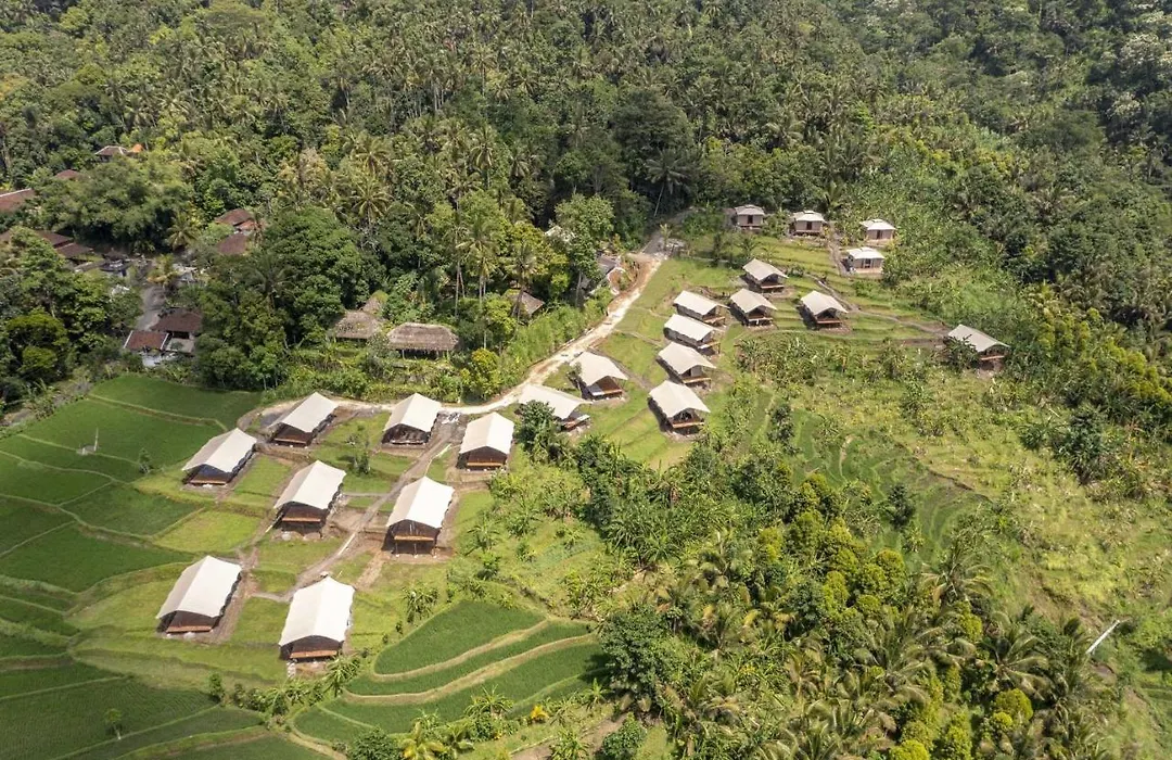 Kaura Bali-1