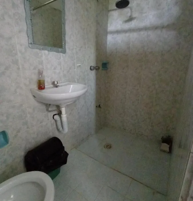 casa bambú-1