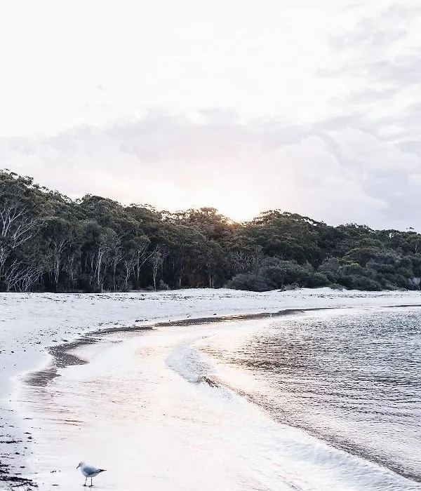 The Beach Studio-1