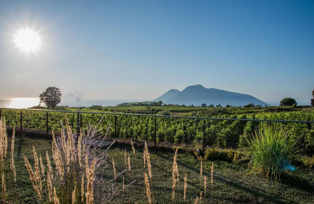 Tenuta Di Castellaro Winery & Resort-1