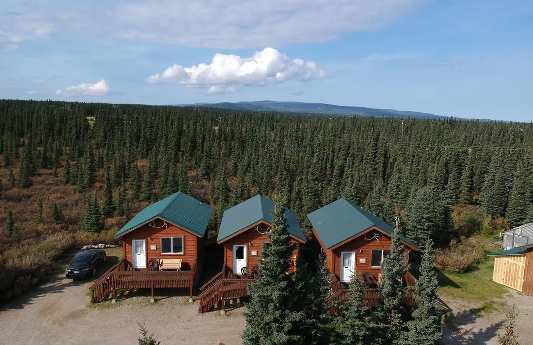 Denali'S Alaskan Spruce Cabins-1