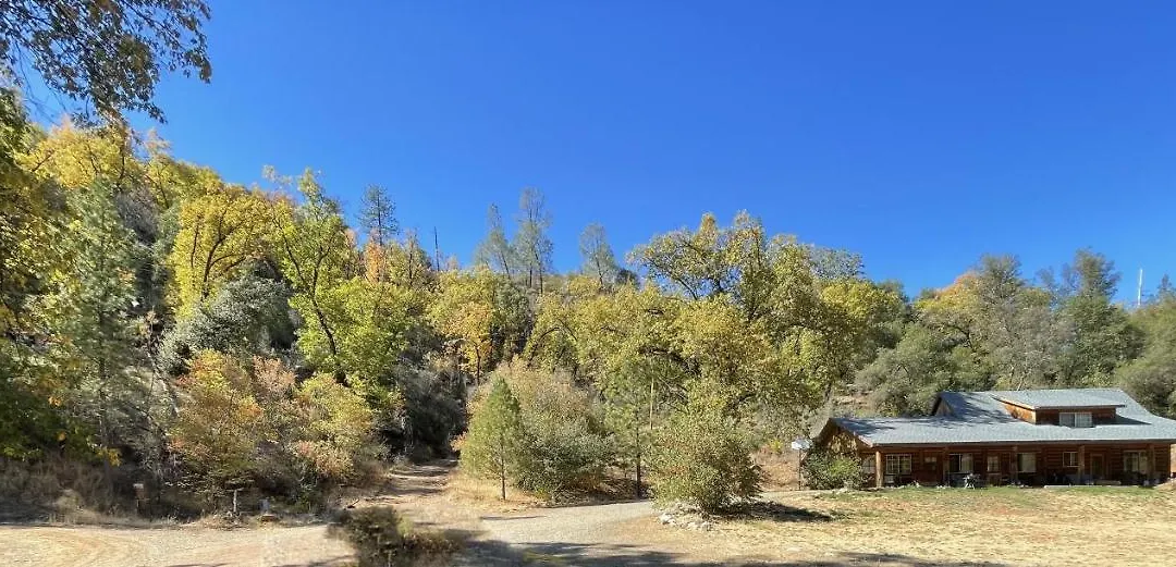 Bear Creek Cabins-1