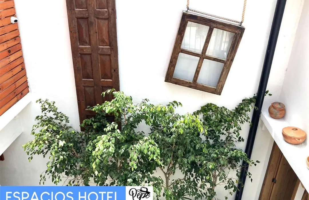 Hotel Pepe Pancho-1