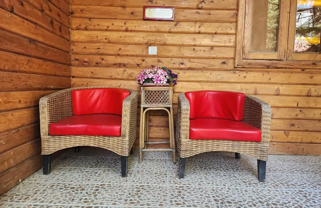 The Chalets Naldehra-1