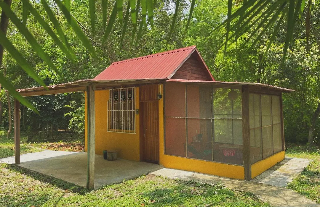 Ecohabitat Calakmul-1