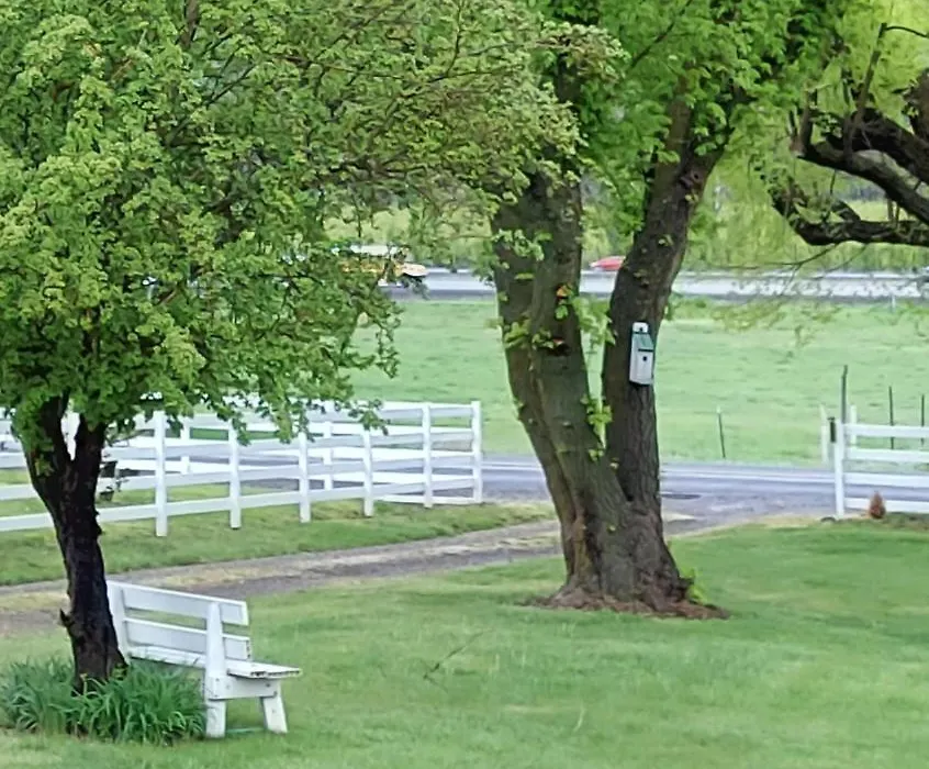 Applinger Farm-1