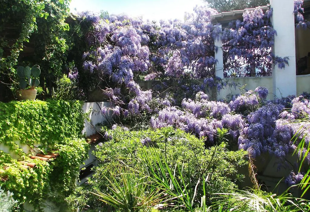 B&B La Salamandra Kitchengarden-1