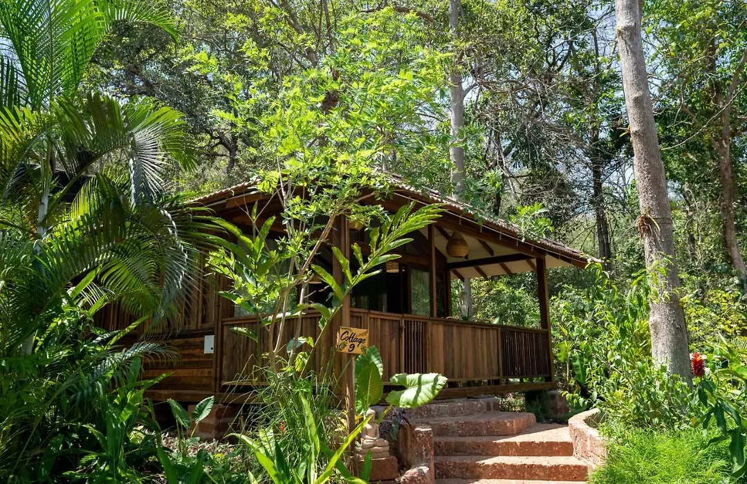 Mojigao - Eco Resort-1