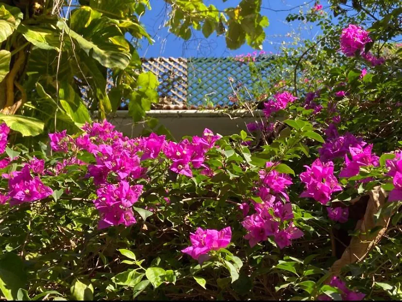Villa Jacaranda-1