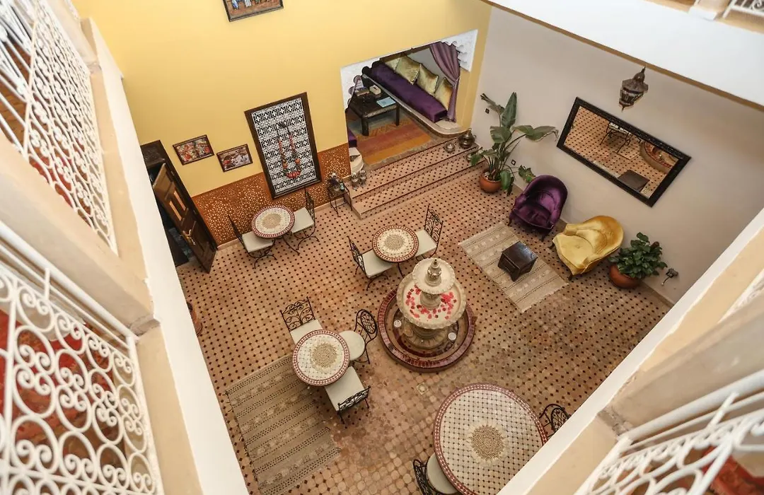 New Bahia-1