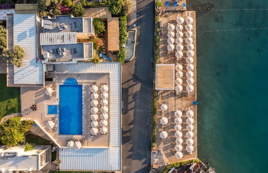 Trendlife Hotels Torba-1