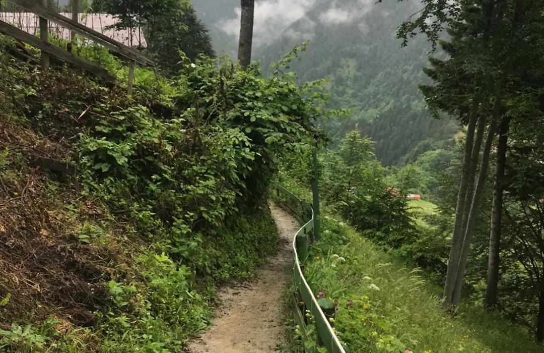 Maneviga Pansiyon-1