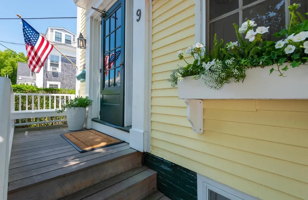 Nantucket Periwinkle-1