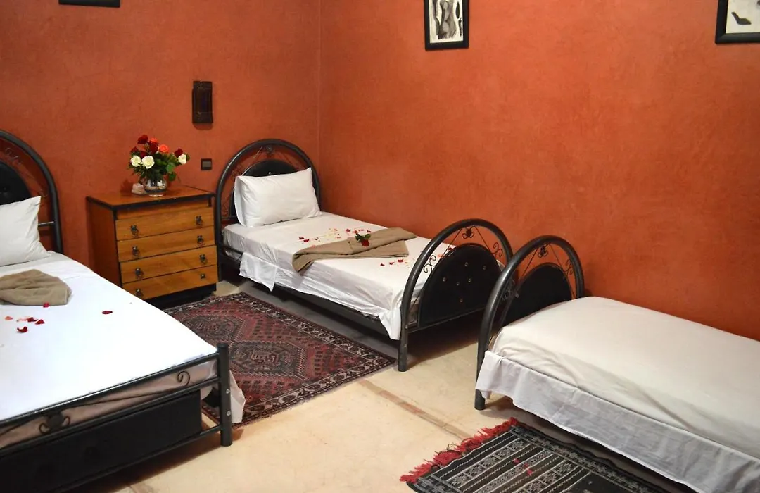 Riad Wink-1