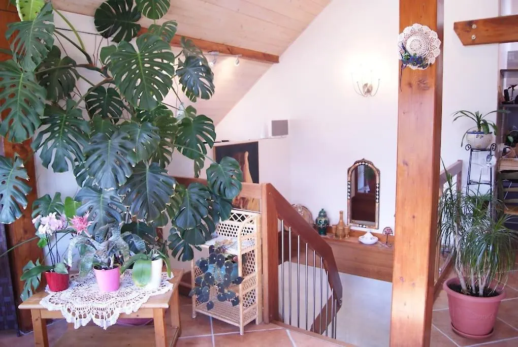 B&B Le Sourire du Lac-1
