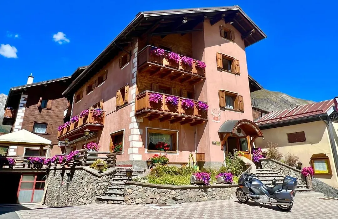 Hotel Adele-1