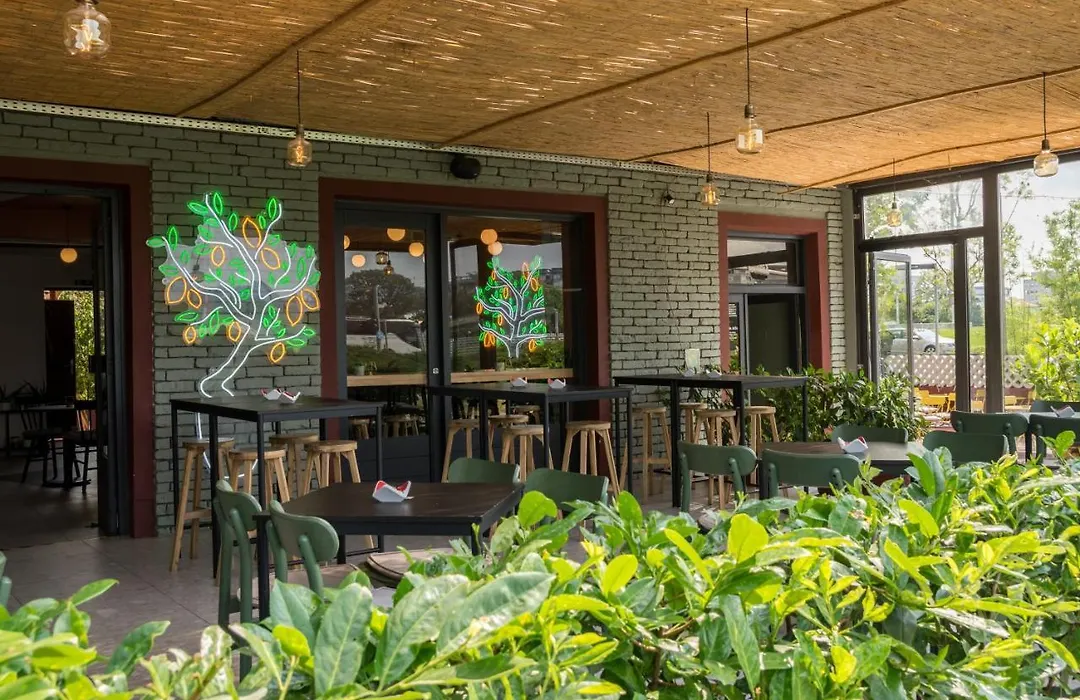 Lemon Market Rooms-1