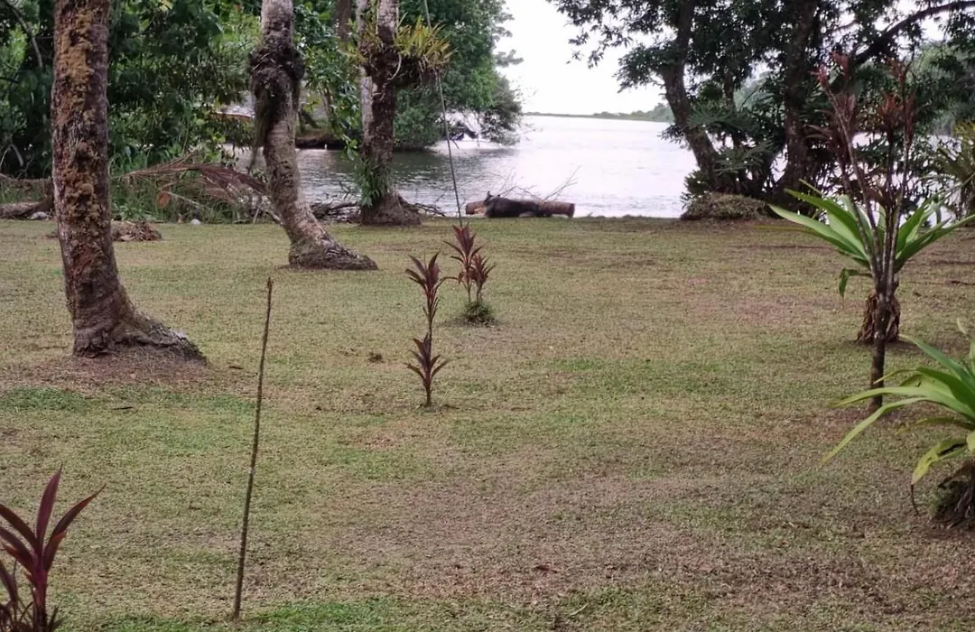 Cabinas Tortuguero Sports Fishing-1
