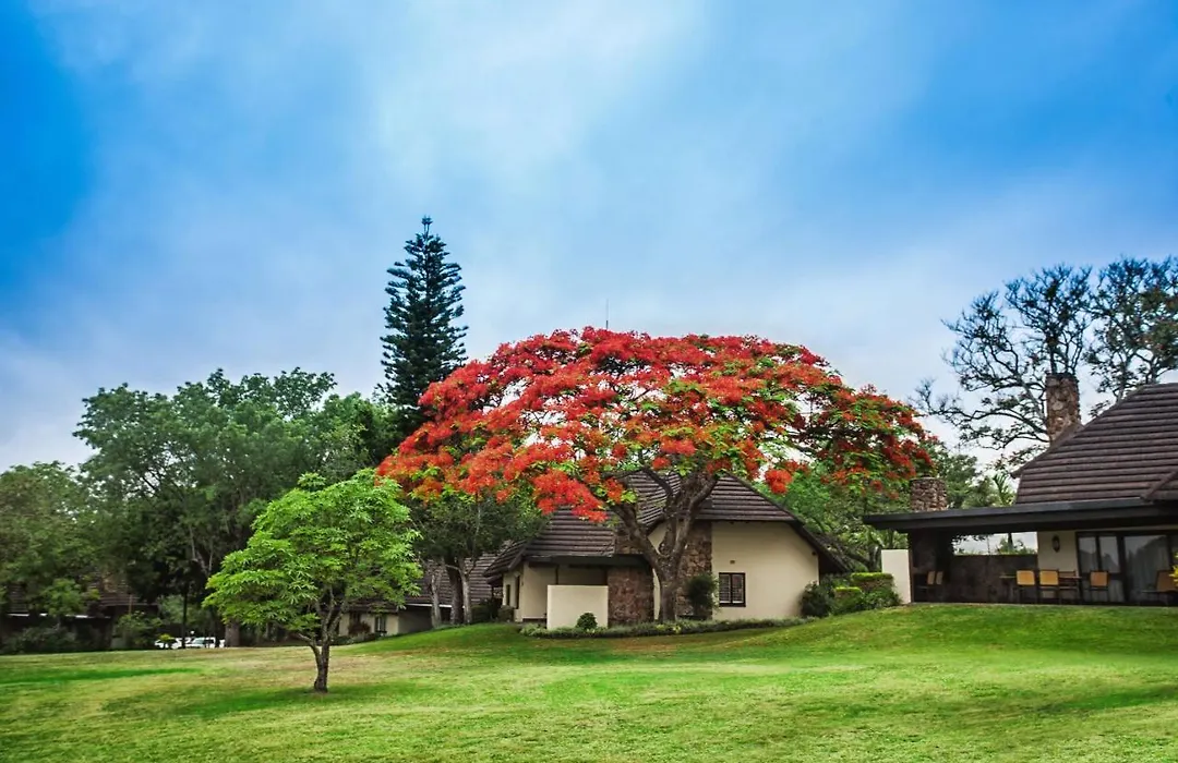 Sabi River Sun Resort-1