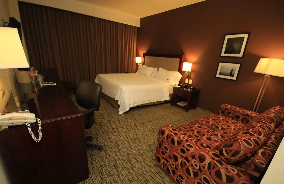 Holiday Inn Leon By Ihg-1