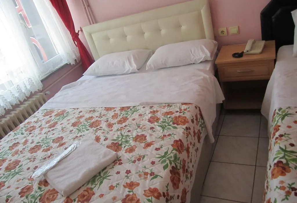 Hotel Efe-1