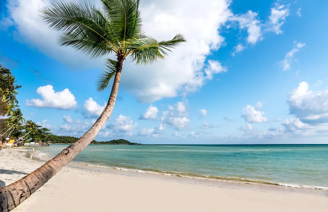 Beyond Samui-1