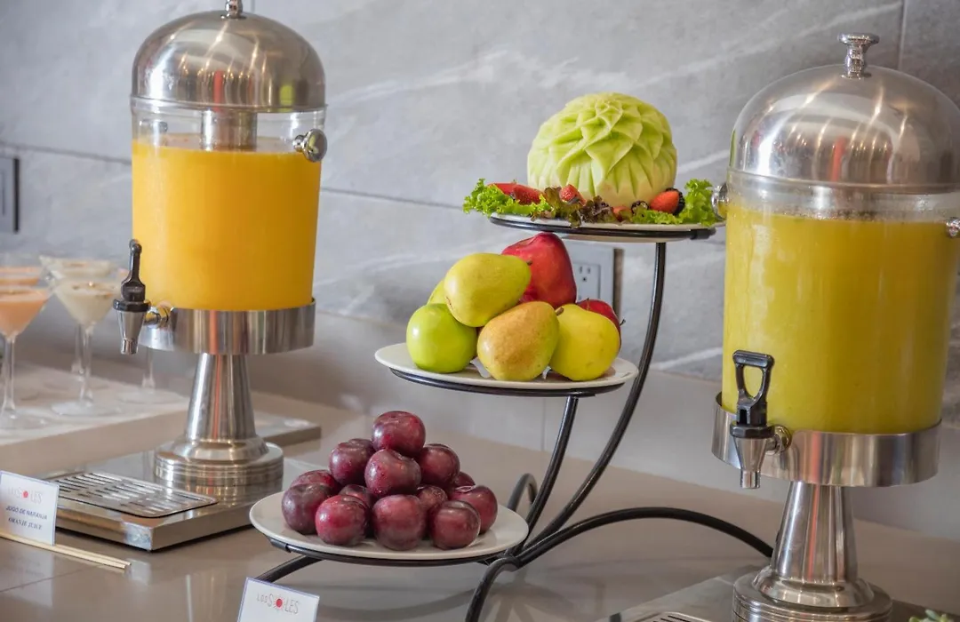 Holiday Inn & Suites - Aguascalientes By Ihg-1
