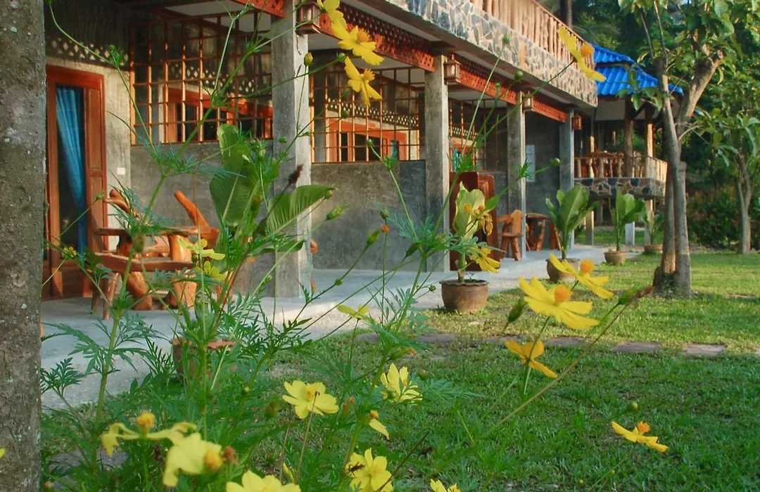 Wonderland Healing Center-1