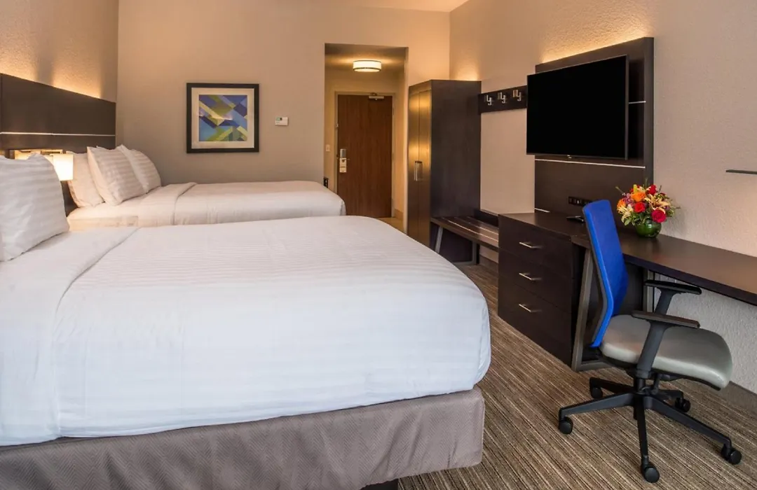 Holiday Inn Express & Suites - Tampa North - Wesley Chapel By Ihg-1