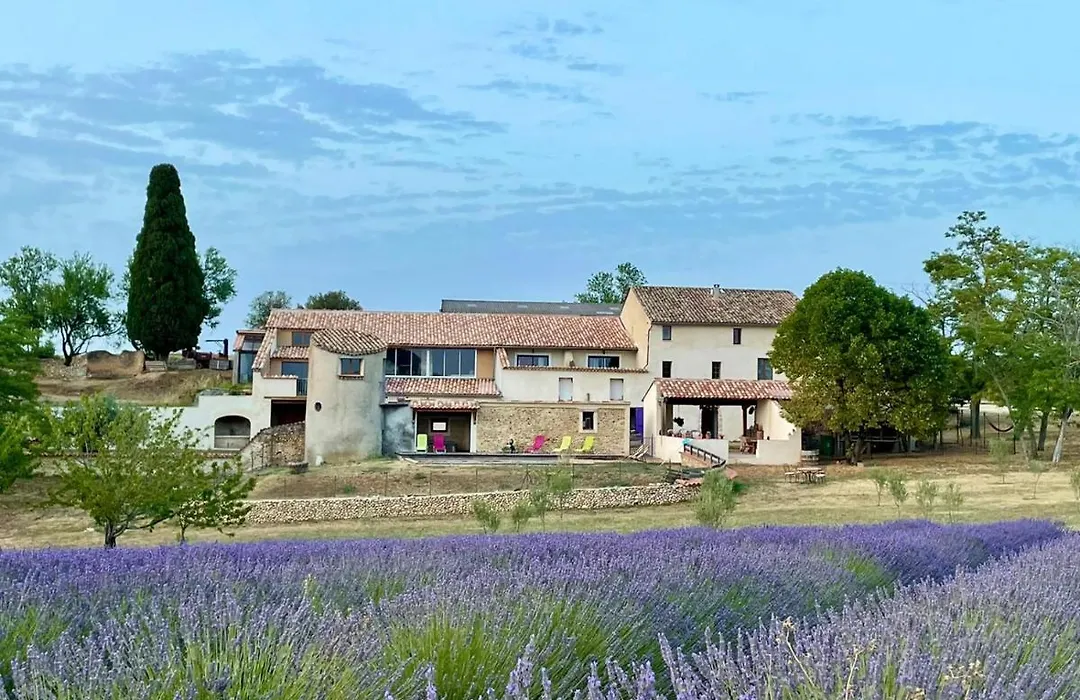 Chambre A La Ferme Au Milieu Des Lavandes-1