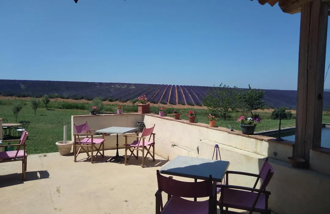 Chambre à la ferme au milieu des lavandes-1