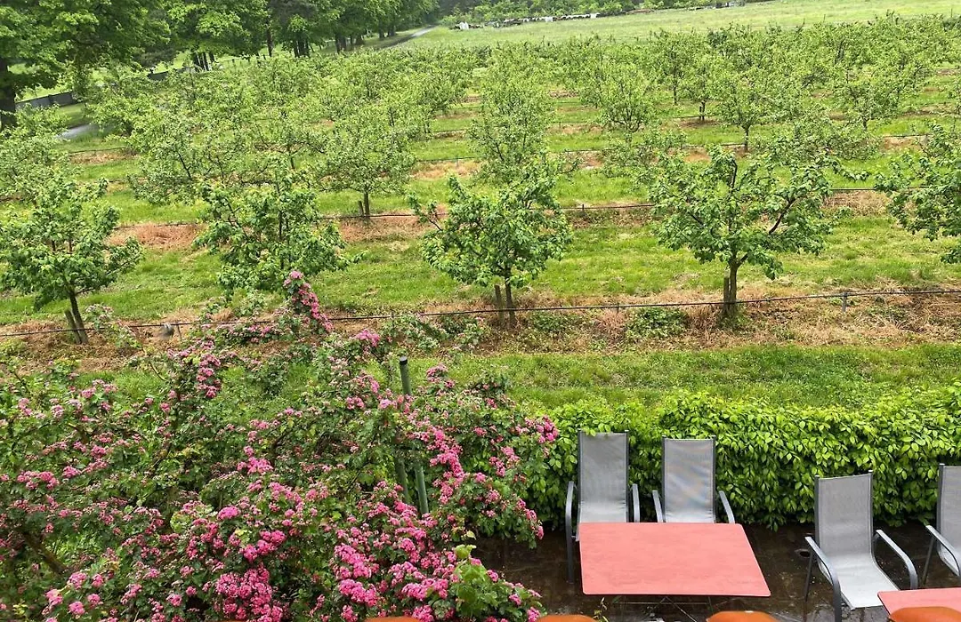 Weinbau&Pension – Familie Birgit und Bernhard Meusert-1
