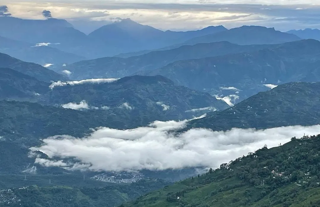 The Village Den , B&B Darjeeling-1
