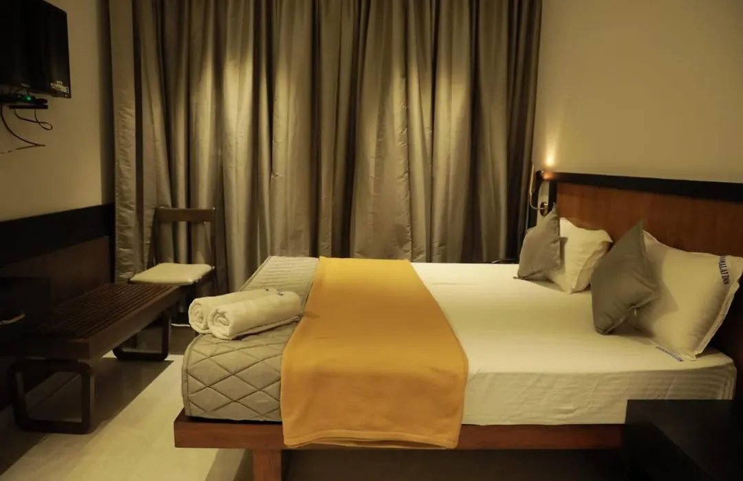 Arunachala Inn-1