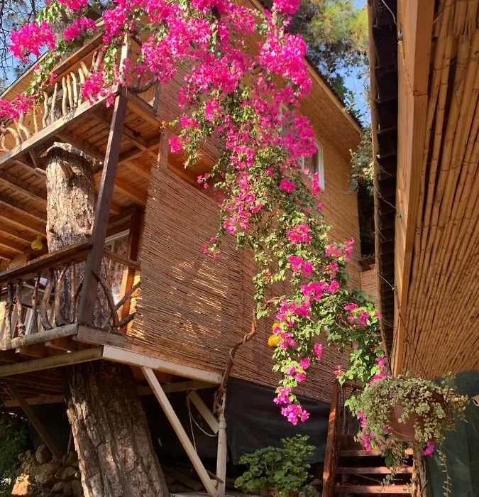 Large Bungalow With Sea View In Kabak Bay, Oeluedeniz-1