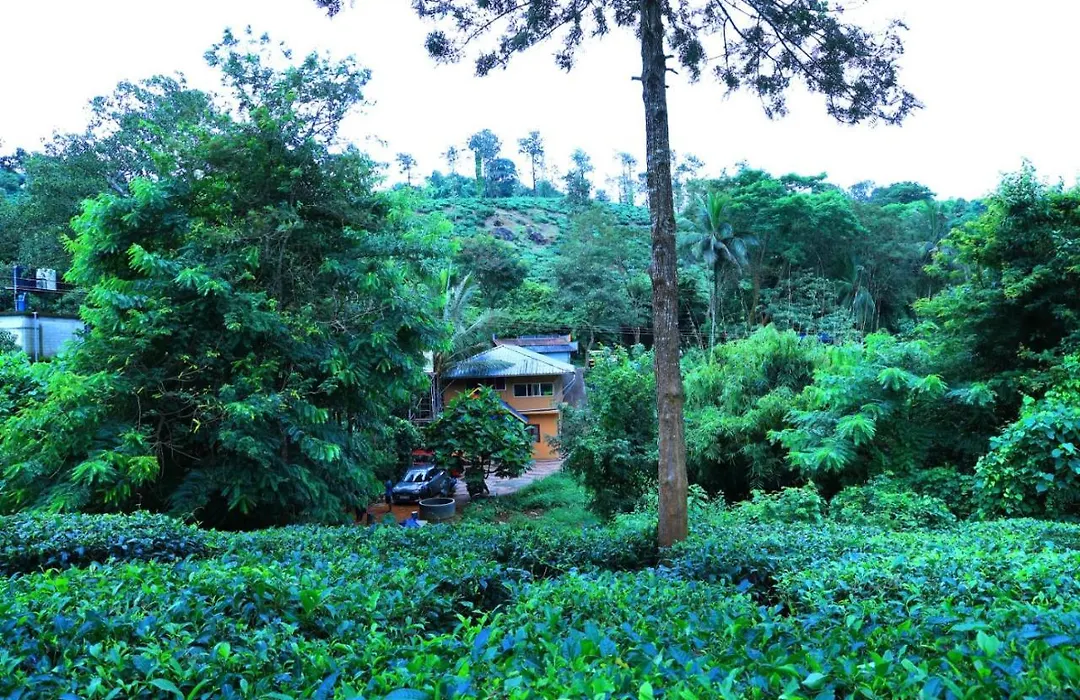 Green View Holiday Home-1