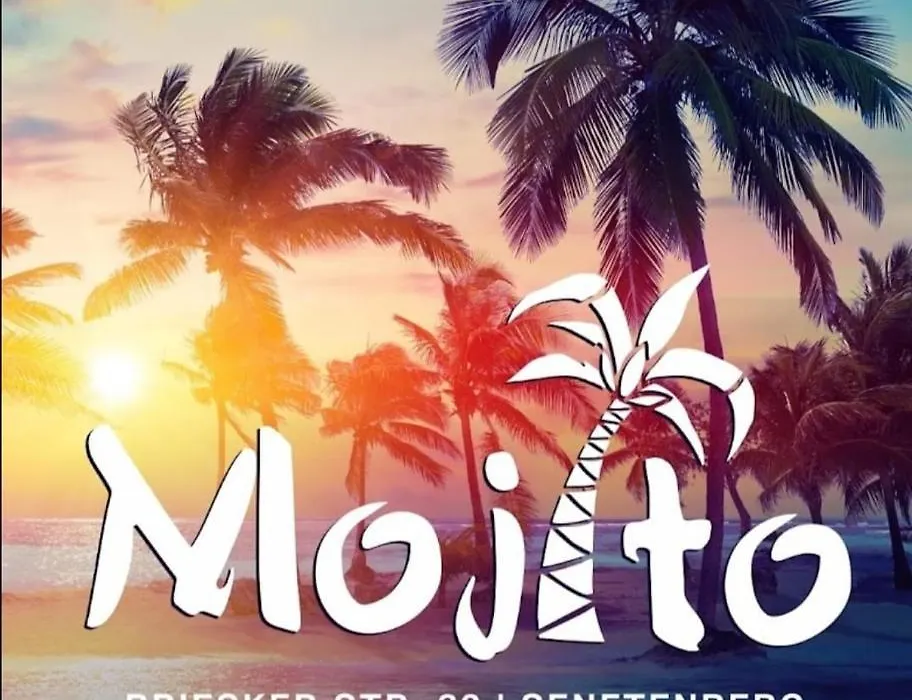 Pension Mojito Senftenberg-1
