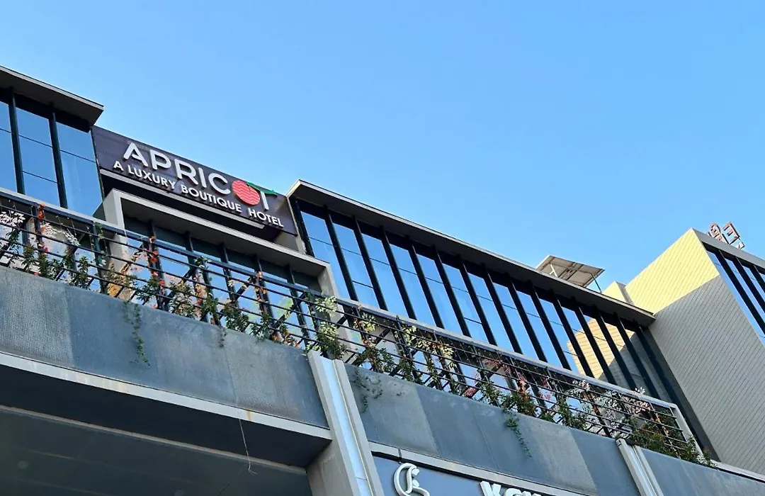 Apricot Motera-1