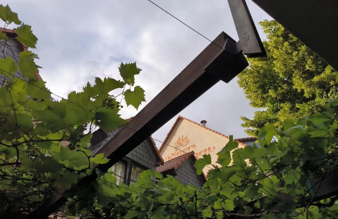 Ritters Weinstuben-1