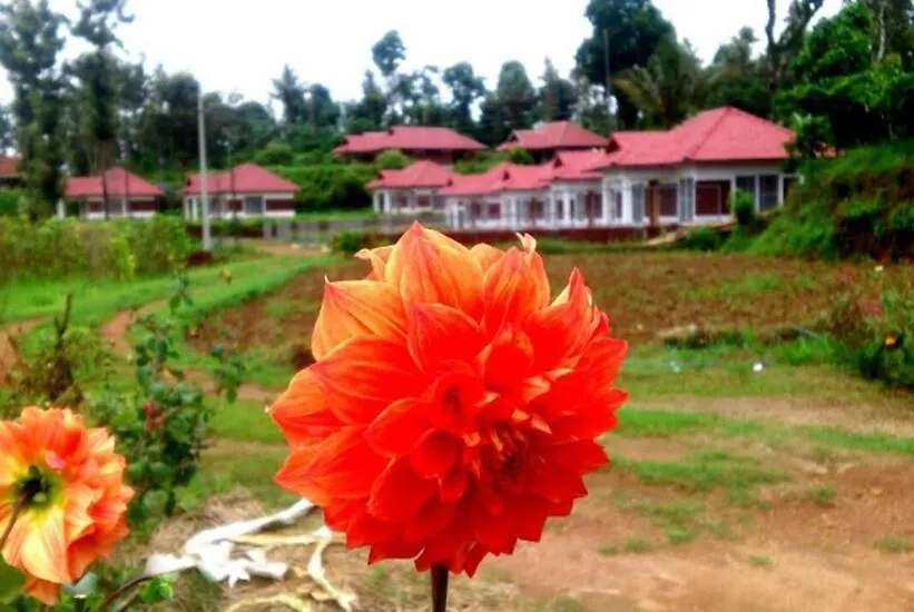 Himani Heritage Resorts, Formerly Camp Nishani Holidays-1
