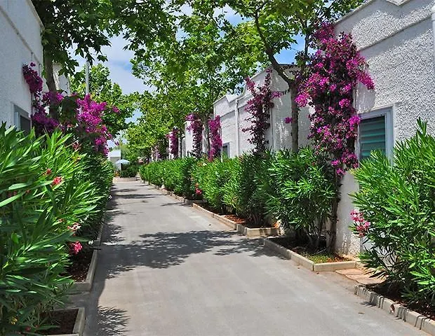 Oasi Le Dune Resort-1